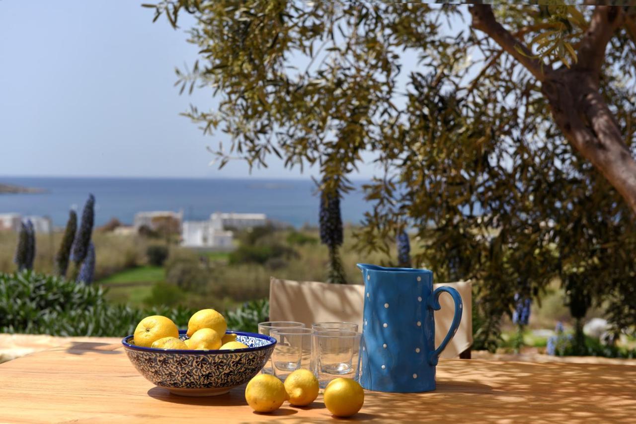 Good Life Greece Eco Villas Posidhonía Extérieur photo